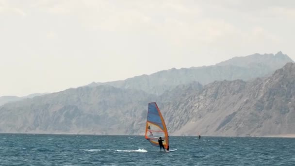 이집트의 아름다운 물이었습니다 파도타기와 파도타기를 사람들을 탐사하는 것이다 해변을 — 비디오