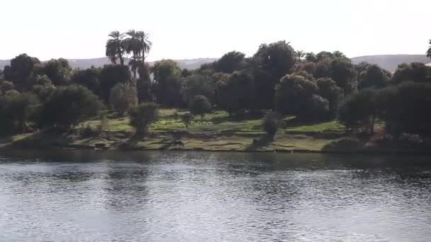 Cestování Nilu Egyptě Výletní Lodi — Stock video