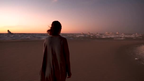 Die Weiße Wüste Schwarze Wüste Ägypten Lady Spaziert Bei Sonnenuntergang — Stockvideo