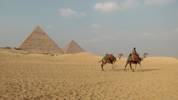 Красивые Пирамиды Египта Африке Историческое Место Непосредственной Близости Каира Гизы — стоковое видео