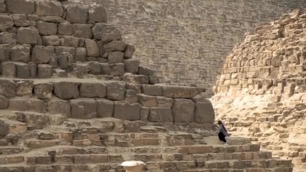 Krásné Pyramidy Egypta Africe Historické Místo Hned Vedle Káhiry Gíze — Stock video