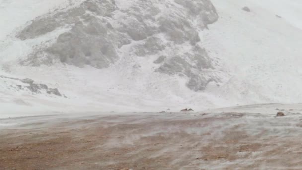吹雪と凍結条件で冬の真ん中にソンコール湖を運転します 峠を雪上車で越える — ストック動画