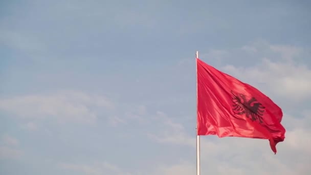 Tirana Beautiful Capital Albania Albanian Flags Blowing Wind — Stock Video