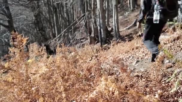 Randonnée Pédestre Célèbre Valbona Vallée Theth Valbone Théthi Dans Les — Video