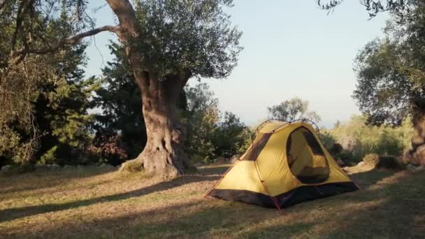 Camping Playa Gjipe Albania Largo Riviera Albanesa — Vídeos de Stock