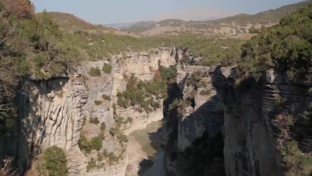 Αλβανία Canyon Osum Όμορφα Δέντρα Και Ποτάμι Στο Μεταξύ Των — Αρχείο Βίντεο