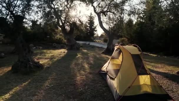 Camping Aan Gjipe Beach Albanië Aan Albanese Rivièra — Stockvideo