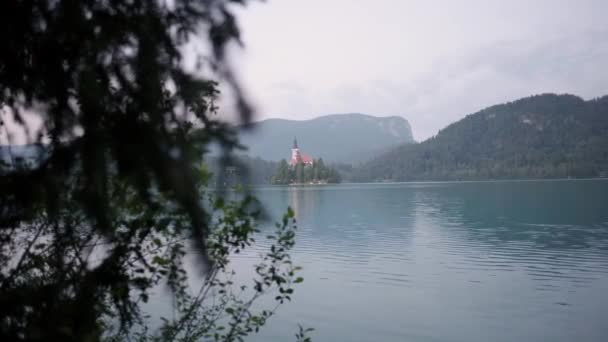 Prachtig Meer Bled Bij Zonsopgang Slovenië Bled Eiland Een Rustige — Stockvideo