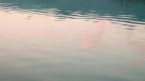 美丽的湖在斯洛文尼亚的日出 — 图库视频影像