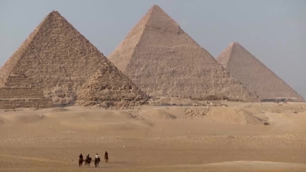 Mısır Daki Piramitlere Doğru Ilerleyen Develer — Stok video