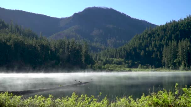 寒冷的早晨 高空湖水蒸腾 — 图库视频影像