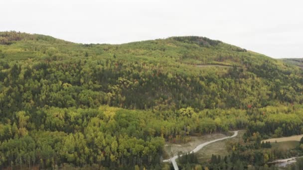 Aérea Volar Sobre Hermoso Bosque Con Río Colores Otoñales Octubre — Vídeo de stock