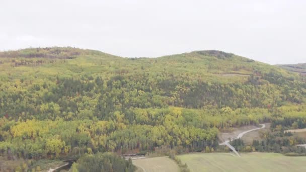 Aérea Volar Sobre Hermoso Bosque Con Río Colores Otoñales Octubre — Vídeos de Stock