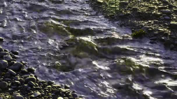 Поток Воды Угла Угол Гравием Солнечном Свете — стоковое видео