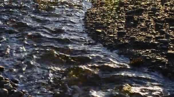 小さな川を越えて北極海の景色へ — ストック動画