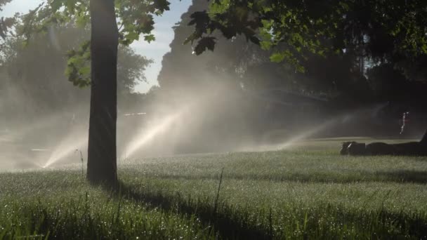 Soluppgång Genom Sprinklers Förorterna Panorering — Stockvideo