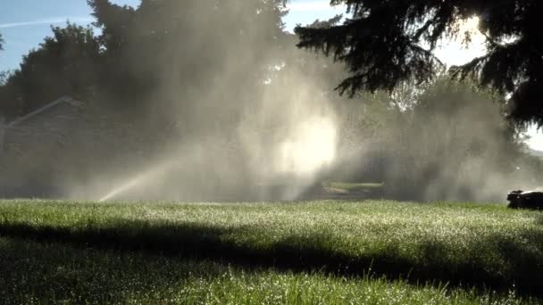 Soluppgång Genom Sprinklers Förorterna Panorering — Stockvideo