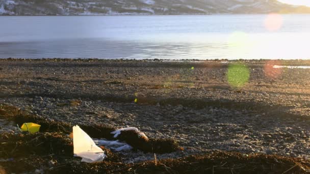 Poubelles Plastique Plage Océan Arctique Micro Plastique Sont Gros Problèmes — Video