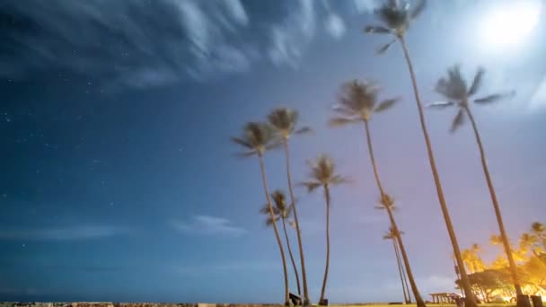 Hawaii Bir Plajda Gün Doğumunun Zamanı — Stok video