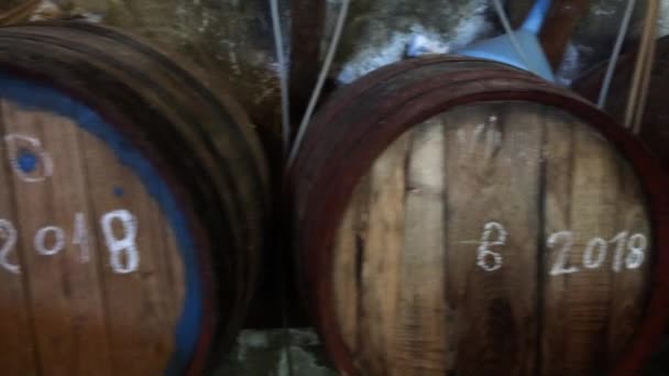 Bodega Rústica Bodega Bebida Alcohólica Artesanal Hecha Casa Chupito Dulce — Vídeo de stock