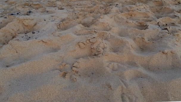 Praia Litoral Inclinar Pôr Sol Timelapse Areia Perto Ondas Quebrando — Vídeo de Stock