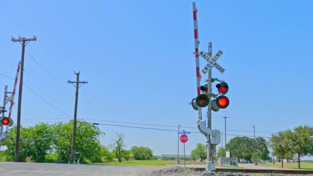 Σιδηροδρομική Διασταύρωση Κόκκινα Φώτα Αναβοσβήνει Και Εμπόδια Που Έρχονται Κάτω — Αρχείο Βίντεο