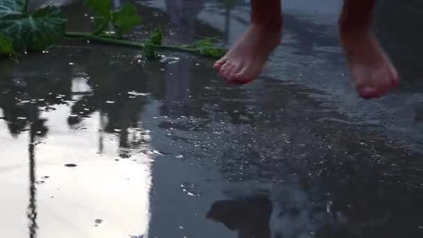 Niño Descalzo Saltando Arriba Abajo Charco Agua Refrescante Actividad Verano — Vídeos de Stock
