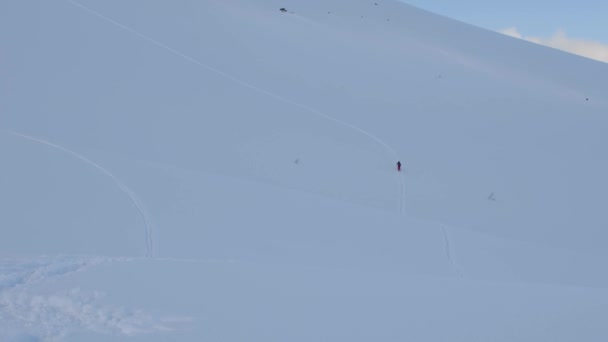 一个人滑上坡 在没有标记的小径上冒险 在高山上的荒野中冒险 — 图库视频影像
