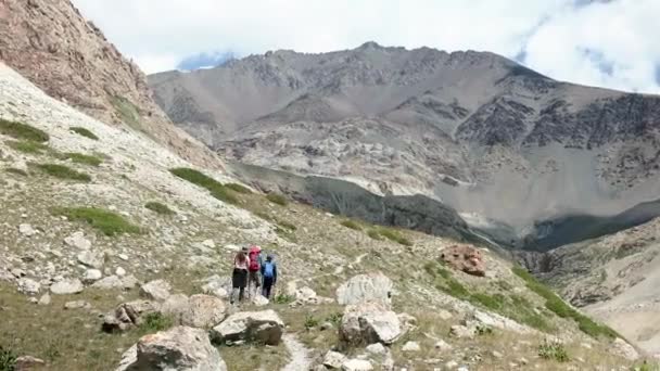 Escursioni Nelle Bellissime Alay Mountains Nella Regione Osh Kirghizistan Asia — Video Stock