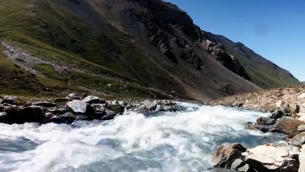 Kırgızistan Vadisinde Akan Nehirler Güzel Orta Asya Yeşil Çayırlar Sonsuz — Stok video