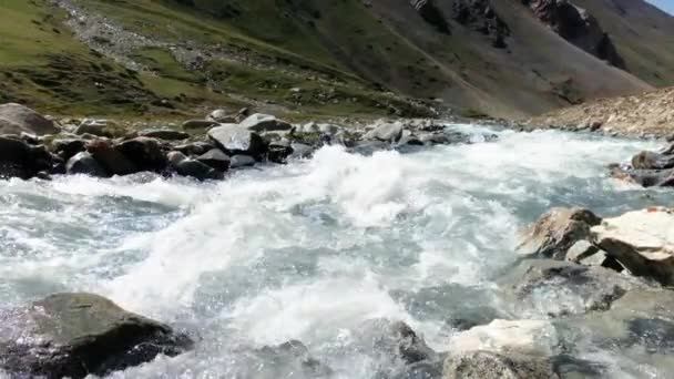 Kırgızistan Vadisinde Akan Nehirler Güzel Orta Asya Yeşil Çayırlar Sonsuz — Stok video
