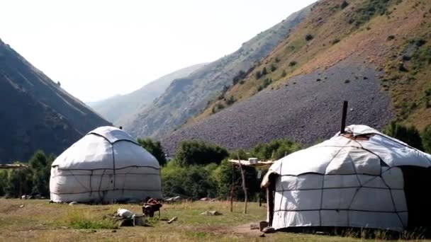 Yurt Homestay Kirguistán Asia Central Nómadas Durante Temporada Verano Las — Vídeos de Stock