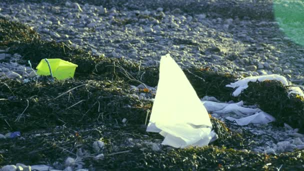 Vuilnis Arctische Oceaan Strand Micro Plastic Zijn Zeer Groot Probleem — Stockvideo