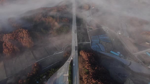 Une Scène Autoroute Automne Brumeuse — Video