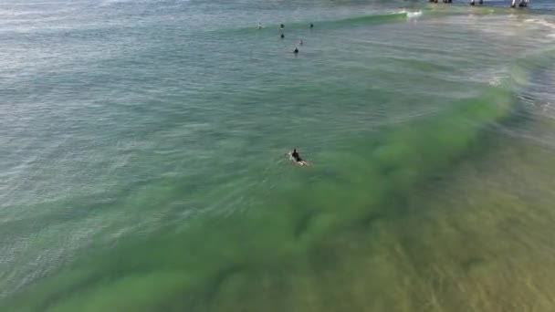 Surfer Schwimmen Zurück Den Brechenden Wellen Auf Einem Kristallklaren Wasser — Stockvideo