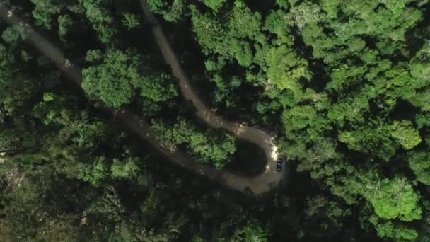 Luftaufnahme Eines Autos Das Durch Einen Waldweg Fährt Atemberaubender Drohnenblick — Stockvideo