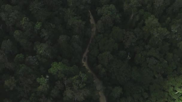 Luftaufnahme Eines Autos Das Durch Einen Waldweg Fährt Atemberaubender Drohnenblick — Stockvideo