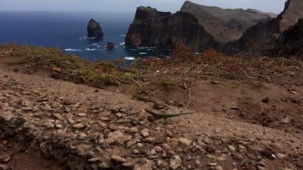 Seascape Timelapse Jaszczurki Zwyczajne Żywiące Się Wulkanicznymi Skałami Landforms Gołąb — Wideo stockowe