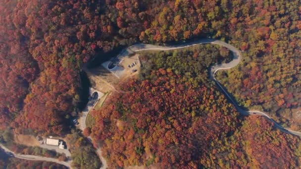 Red Colored Winding Road Autumn Mountain — Stock Video