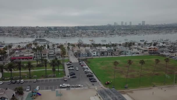 Grassy Park Beach Aerial Horizontal Dolly Movement Palm Trees Inglês — Vídeo de Stock