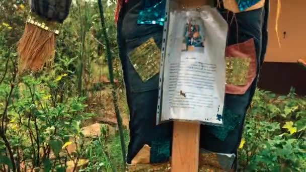 Espantapájaros Hechos Materiales Reciclados Campo Jardín Rural Para Ahuyentar Las — Vídeo de stock