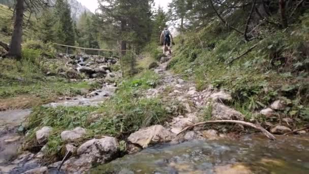 Περπάτημα Μέσω Των Julian Alps Στο Εθνικό Πάρκο Triglav Στη — Αρχείο Βίντεο