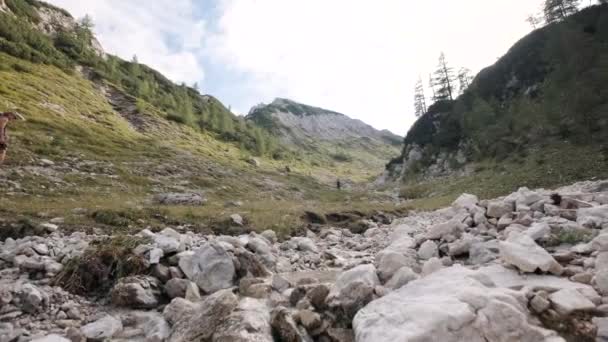 Caminhando Pelos Alpes Julianos Parque Nacional Triglav Eslovênia Caminhadas Até — Vídeo de Stock