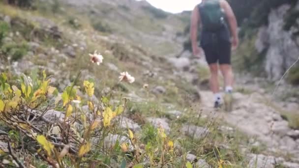 Caminhando Pelos Alpes Julianos Parque Nacional Triglav Eslovênia Caminhadas Até — Vídeo de Stock