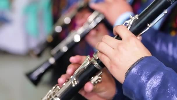 Vicino Musicista Che Suona Clarinetto — Video Stock