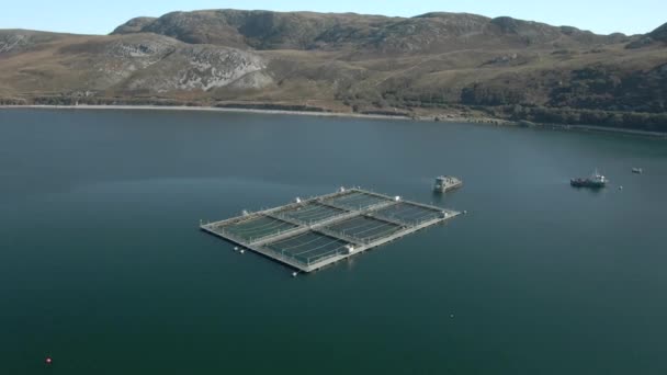 Flygfoto Över Vattenbruksanläggning Loch Eriboll Det Skotska Höglandet Solig Dag — Stockvideo