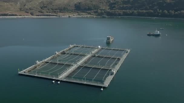 Flygfoto Över Vattenbruksanläggning Loch Eriboll Det Skotska Höglandet Solig Dag — Stockvideo