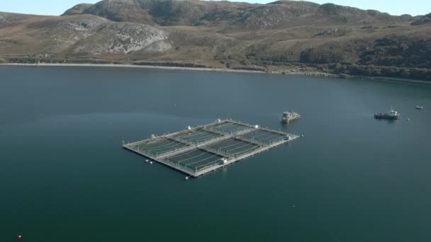 Vue Aérienne Une Installation Aquacole Sur Loch Eriboll Dans Les — Video