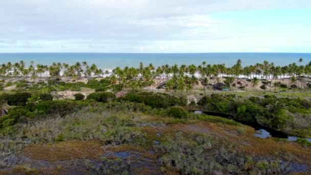 Vuelo Drones Sobre Pantanos Árboles Resort Playa Imbassa Bahía Brasil — Vídeos de Stock