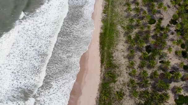 Drone Rompiendo Olas Playa Playa Imbassa Bahía Brasil — Vídeos de Stock